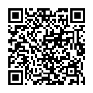 却是本体的仙界和血傀的红色域场完整的出现在众人面前二维码生成