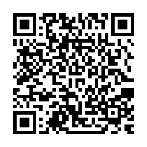 却是沈凡从过红尘的储物戒中得来的堪比十绝王者级别的阵法二维码生成