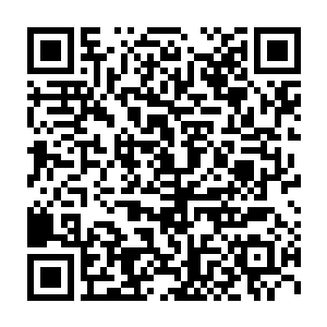 却是没想到秦家还有这样一段悲惨的往事……提炼武者的血脉用来练功二维码生成