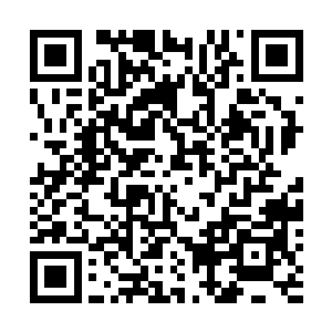 却是瞪大了双眼一副不可思议的模样看着眼前的两名老者二维码生成