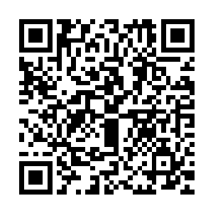 却是被林辰这一道可怕的指法引发了一连串如地震般的可怕动静二维码生成