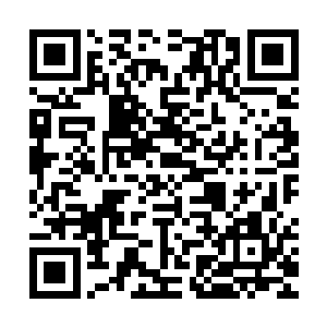 却是足以把五行吾素和何润卿两边加在一起都甩开几条街的距离二维码生成