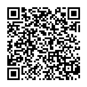 却是连半件都没有做到……仔细的评判了一下他们这些天来的行动准则二维码生成