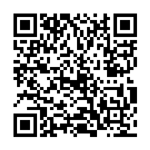 却是长宇宇宙的缩影被混沌宇宙砸出了一道狰狞恐怖的裂缝二维码生成