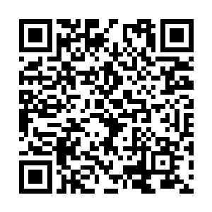 却每每能够引导我们把目光和画作的精神引导过去二维码生成