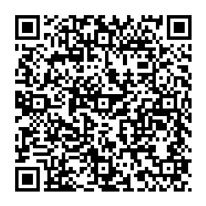 却没想到平日里看似大大咧咧的拖雷却忽然说出了这么一番话淡定修仙路穿成戒指怎么破全文阅读二维码生成