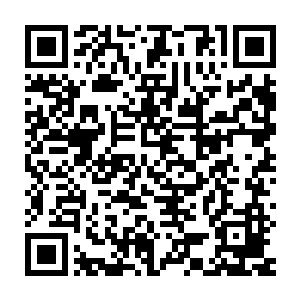 却没想到结果让它稍稍有些失望……盈水魔珠虽然被稍稍压制了一下二维码生成