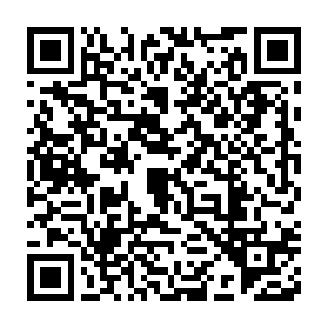 却没想到这反而变相的帮了秦方一把的……这么多的枝桠都被捏住了二维码生成