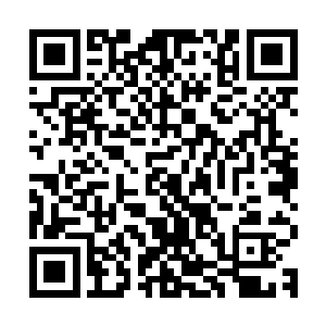 却没有再做出闯殿的动作……只是踉跄着靠在了殿外的门扉之上二维码生成