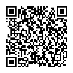 却用自己的生命和灵魂对她进行最最恶毒的诅咒……是为了什么呢二维码生成