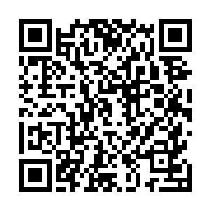 却硬是施展出了龙化的至高绝技……实在是太不可思议了二维码生成