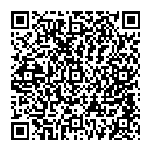 却硬生生被秦方炸掉了一只手掌……这绝对是秦方对抗大宗师级高手历史上的第一次巨大突破的二维码生成