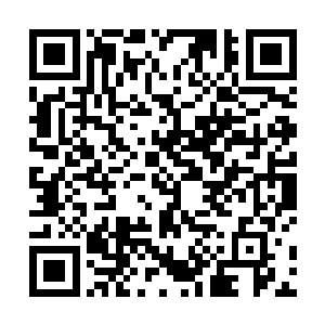 却立即成为了这条血色巨龙的克星了……稍微挨上一点二维码生成