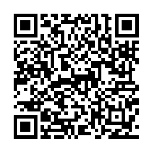却绝对能够代表任何听到王世子那番介绍后的科学家的想法二维码生成