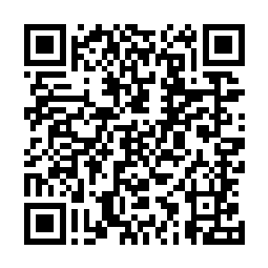 却能让人感受到一股深山野林之中咆哮着的凶悍巨熊的狞厉二维码生成