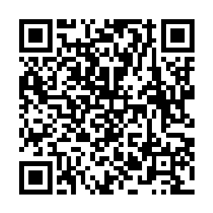 却被突然抵达的费率滨近海巡逻艇抓住往费率滨内海去了二维码生成