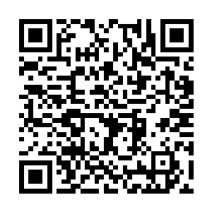 却被镇南王一个冷淡的眼神给吓得将不满吞了回去二维码生成