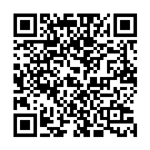 却见付姨娘带着顾二娘子从新房里披头散发满身狼狈的出来二维码生成