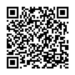 却见刚才硕大无朋的白骨巨蝎已经变成了无数拳头大小的小蝎子二维码生成