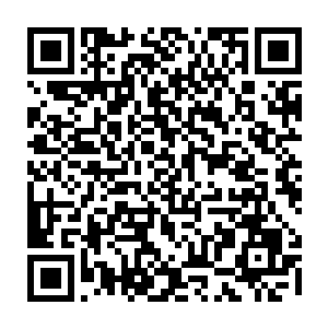 却见燕离的目光淡淡的睃过低眉垂眸如被开水浇过的花朵般失去生气的琳琅二维码生成