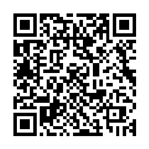 却让他们本能的找到了在冰雪荒原上能轻松获取大量酵素的办法二维码生成