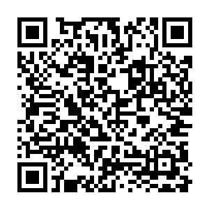 却让陈威廉一点也不敢小瞧秦方的……残狼佣兵团整整一个小队的人马全部出动二维码生成