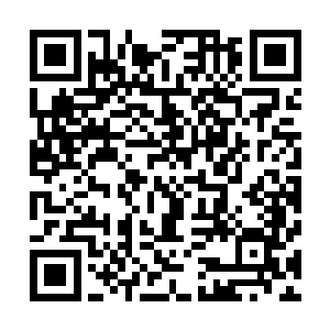 却连欧冠的小组赛都无法出线……真是令人唏嘘不已啊……二维码生成