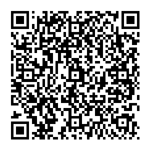 卷轴所释放出来的强大风系力量此刻也随着楚旬鲜血的泼洒和触手的不断挥动以及缠绕而被迅速削弱二维码生成
