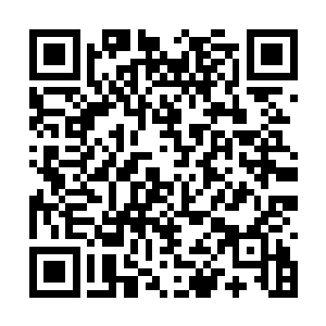 历史之中灵门的出现比起灵族皇室也相差不了多少二维码生成