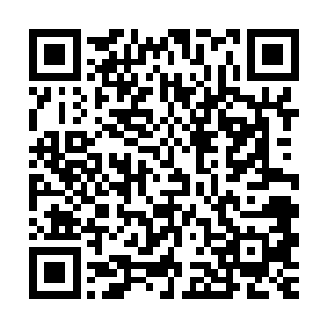 历来我们宋州被省里批评最多的不是我们宋州经济没有发展起来二维码生成