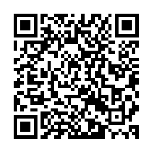 厉倾城便主动从口袋里掏出一个录音笔递给了旁边的工作人员二维码生成