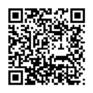 压力最大最不爽的自然就是那位同样性格刚硬的南主任二维码生成