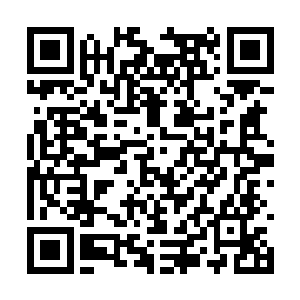 厚重的混合砖墙在建筑大师的设计下既美观又坚实二维码生成