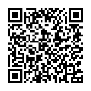 厚重的爪式拉壳钩在枪弹离开弹仓时会立即抓住弹壳底缘二维码生成