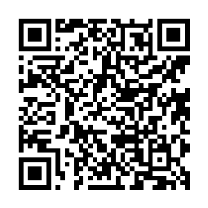 原主所有的记忆都是血腥和杀戮…原主的记忆是从五岁开始的二维码生成
