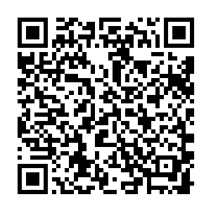 原主曾经就是完全按照这个世界法则而生的最标准的富贵人家的千金小姐二维码生成