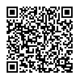 原主的记忆飞快在梓箐的识海中过了一遍…不过她没有去捋那些深埋的意识二维码生成