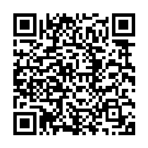 原先在内宅里一言九鼎的李妈妈自打周姨娘大归后变风光不再二维码生成