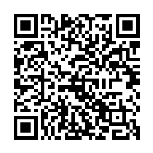 原因无它……一则是为了门下弟子可以在杀戮中更快的成长起来二维码生成