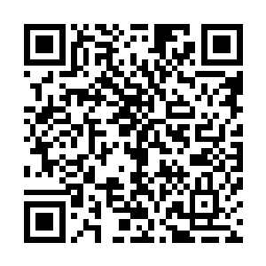 原因是……是他这个学生在我爸爸所在的学校读高中的时候二维码生成