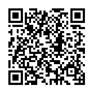 原战上来时顺便把晕死在水里的苍鸾和下渊主捞了上来二维码生成