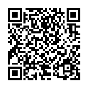 原战想起了在他小时候原际部落也发生过类似的大规模死亡事件二维码生成