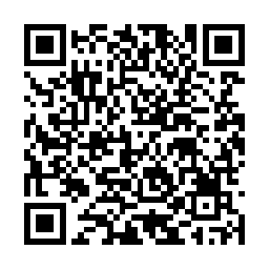 原战抬起左腿和原冰踹过来的右腿狠狠撞击在一起二维码生成