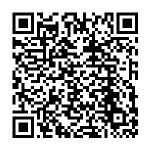 原战的话语和笑容在坑底的鬣族人眼中真是要有多可怕就有多可怕二维码生成