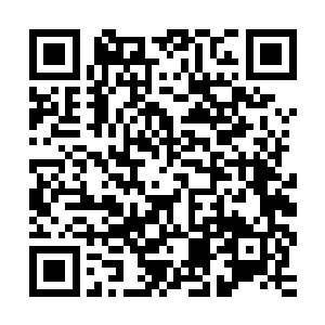 原有一些水性的赤须龙费保和杨子蛟卜青便忍不住下到江中实践二维码生成