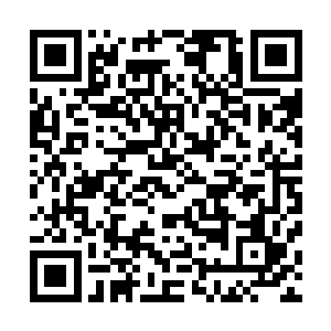原本一直没有动静的肉身此时也终于再一次完成了一次蜕变二维码生成