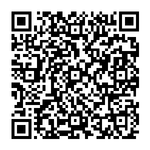 原本下方仿佛飞蛾扑火一般的血刃山寨的众人此时也直接跟凤火舞几个人的攻击撞到了一起二维码生成