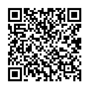 原本他们一大早过来也只是想要确定王妃确实是平安归来了罢了二维码生成