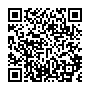 原本他们以为许紫烟和金无敌见到他们这么多妖族围杀他们二维码生成