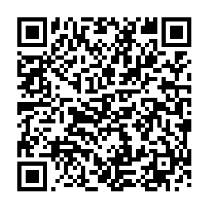 原本以不可思议的速度朝着这边飞来的定海神珠就这样被林烽给控制住了二维码生成